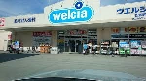 松原市松ケ丘2丁目の中古一戸建て(ウエルシア松原阿保店)