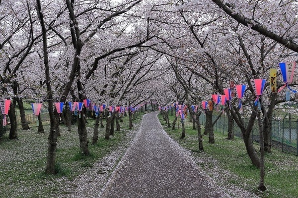 堺市南区赤坂台4丁の土地(鴨谷公園)