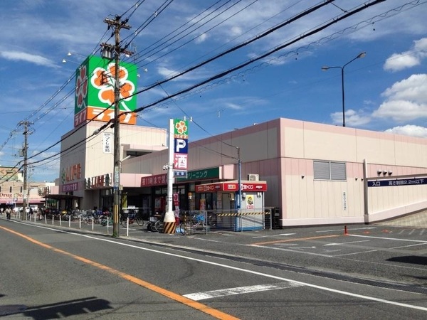 ネオハイツ鳳(ライフ福泉店)