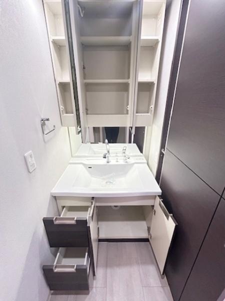 M'PLAZA堺東フェニックスアベニュー(洗面台・洗面所)
