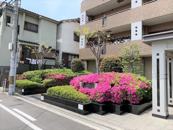 ローレルコート上野芝