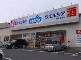 堺市中区土塔町の土地(ウエルシア堺深井東店)