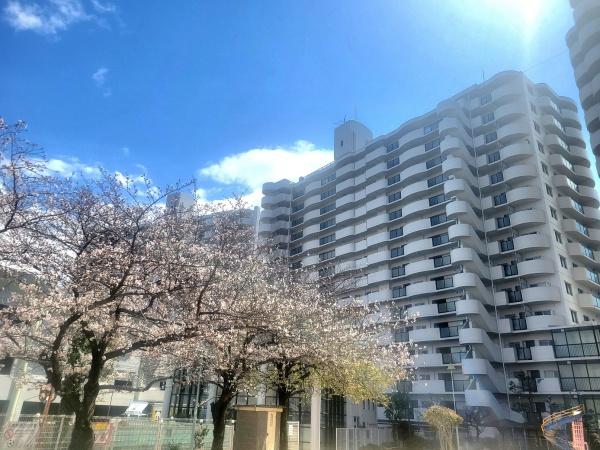 フェルティ・メイツ泉ヶ丘１番館