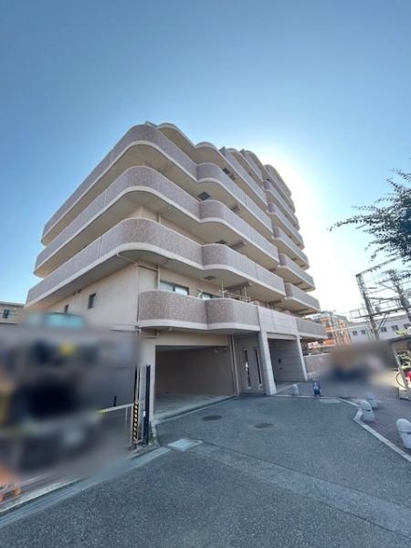 ディオ・フェルティ白鷺