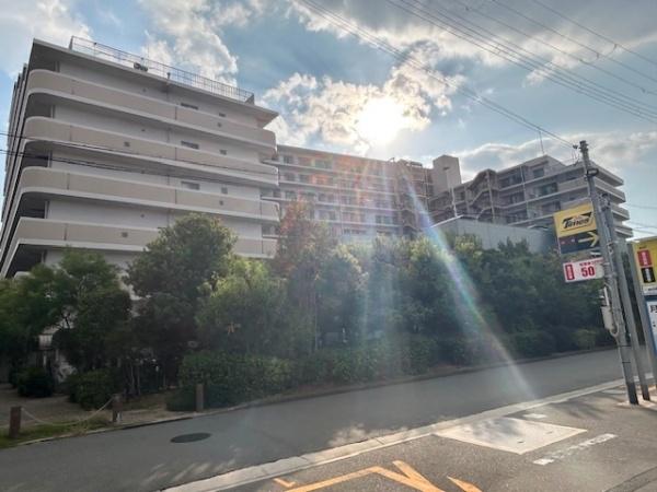 リバーガーデン三国ヶ丘けやき通り