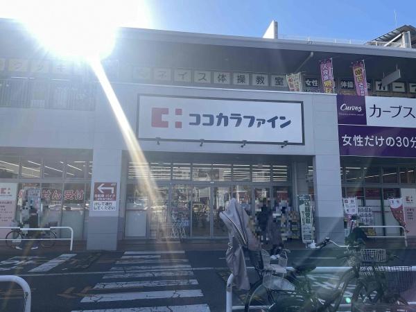 ルネシエスタＢ棟(ココカラファイン上野芝楽市店)
