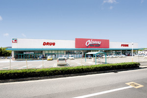 和泉市緑ケ丘２丁目の土地(オークワ和泉中央店)