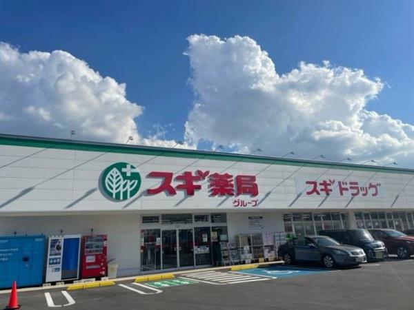 ２号棟(スギドラッグ泉田中店)