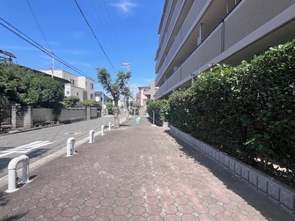 ラナ・トーア諏訪森