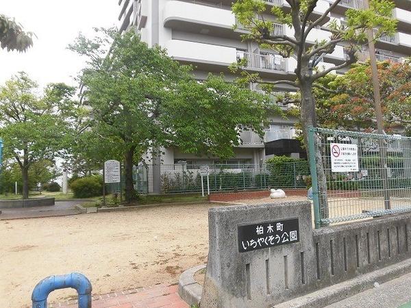 進和グレーシィハイツ堺