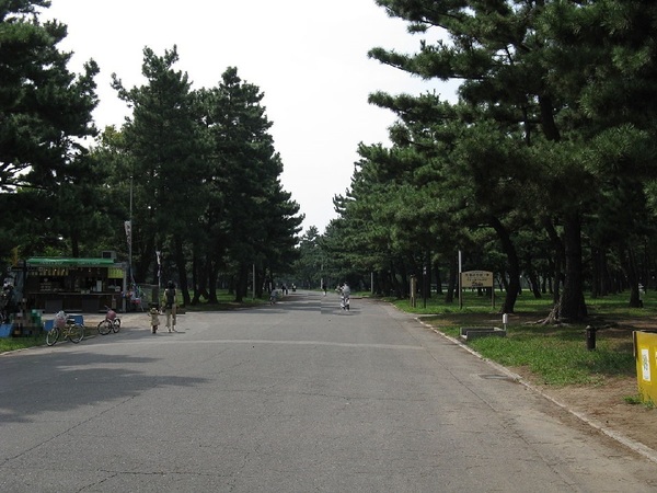 堺市西区浜寺諏訪森町東３丁　１号地(浜寺公園)