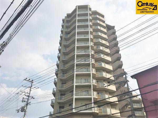 ルネ白鷺