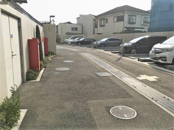 ルネ白鷺