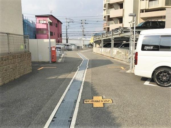 ルネ白鷺