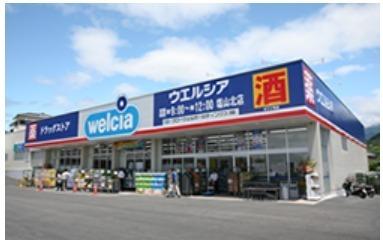 堺市東区日置荘西町3丁の土地(ウエルシア堺日置荘西町店)