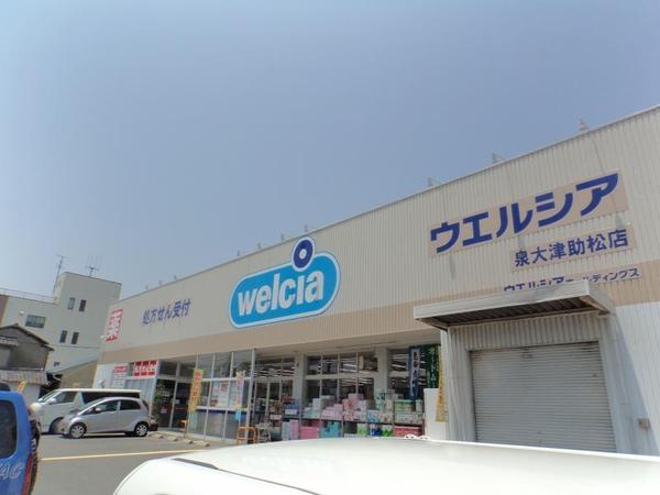 メゾンドール高石(ウエルシア泉大津助松店)