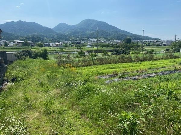 葛城市當麻の土地