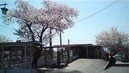 北葛城郡王寺町畠田6丁目の土地(JR和歌山線 畠田駅)