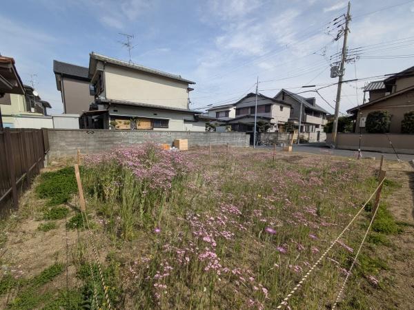 葛城市疋田の土地