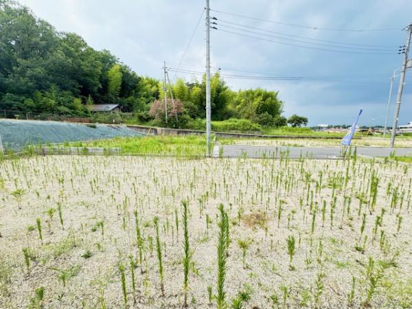 北葛城郡広陵町大字大野の土地