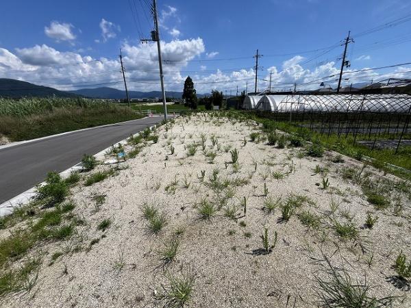天理市柳本町の土地