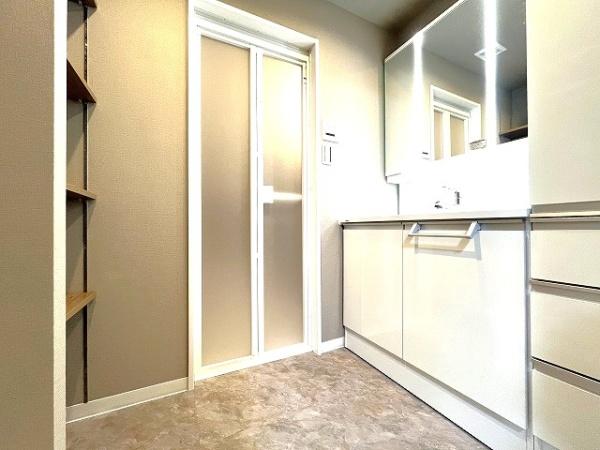 ウィルコート八木(洗面台・洗面所)