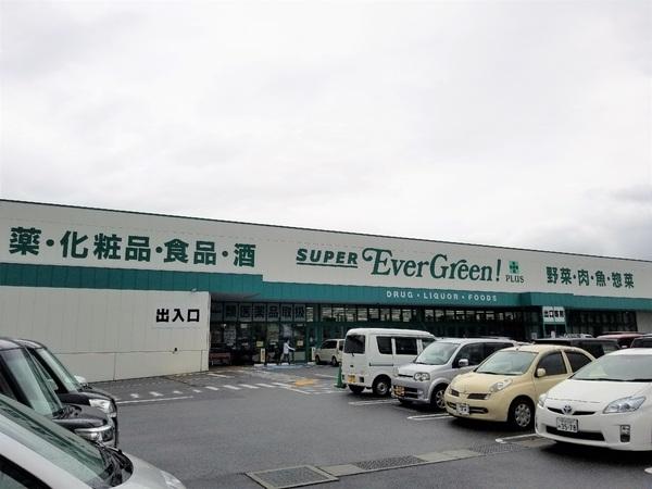 高市郡明日香村大字奥山の土地(スーパーエバグリーンプラス橿原膳夫店)