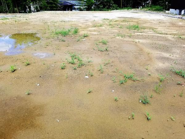 高市郡明日香村奥山　売土地　2号地