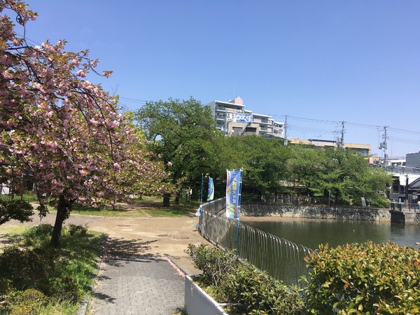 朝日プラザシティ南大和イーストウイングＣ棟(馬冷池公園)