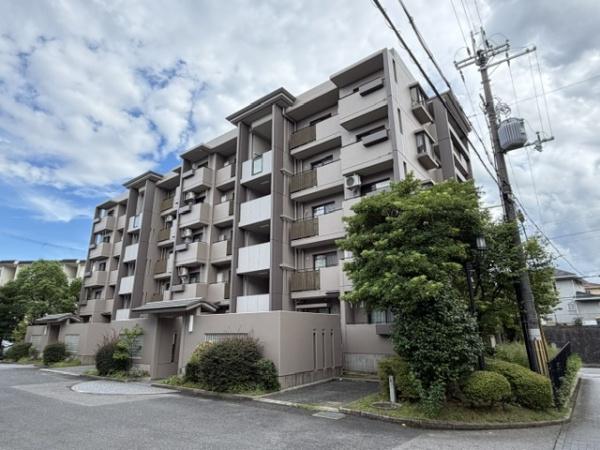 真美ヶ丘中央一番館11号棟