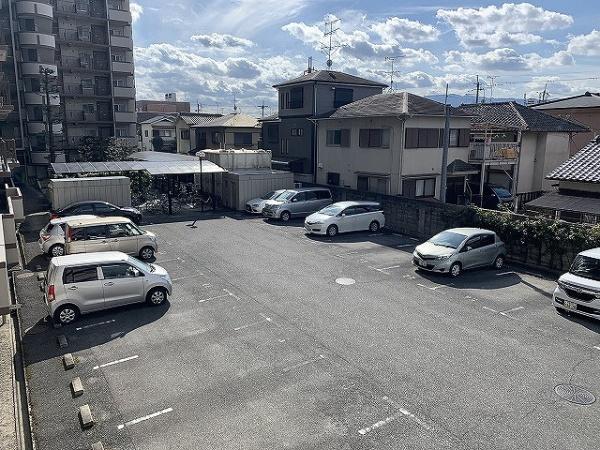 レックスコートオークティ