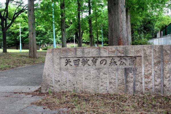 大阪市住吉区庭井1丁目(4号棟)(矢田教育の森公園)