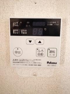 ルイシャトレ平野