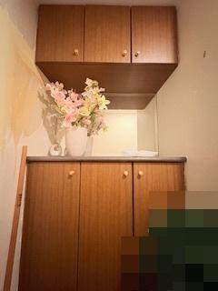 ルイシャトレ平野