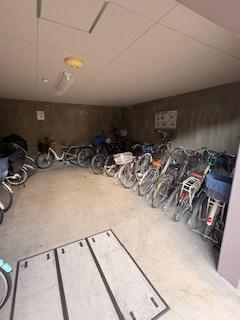 ルイシャトレ平野