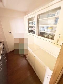 ルイシャトレ平野