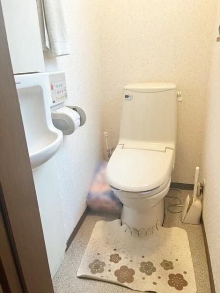 八尾市萱振町４丁目