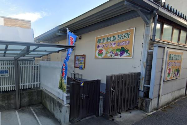 柏原市法善寺4丁目(JA大阪中河内 畑のつづき 柏原店)