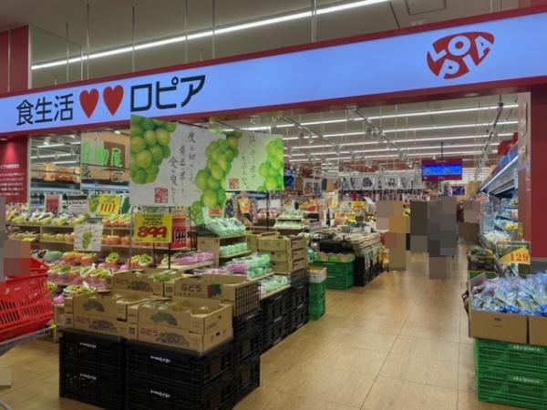 藤井寺市東藤井寺町の土地(ロピア　藤井寺店)