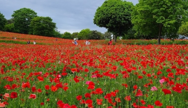 ワコーレ立川　3階(国営昭和記念公園)