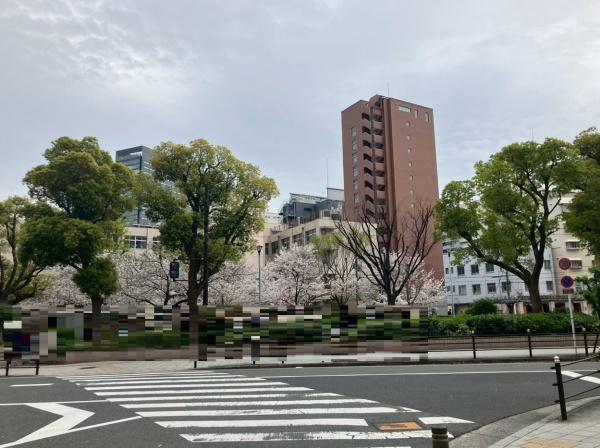 ローレルタワー難波