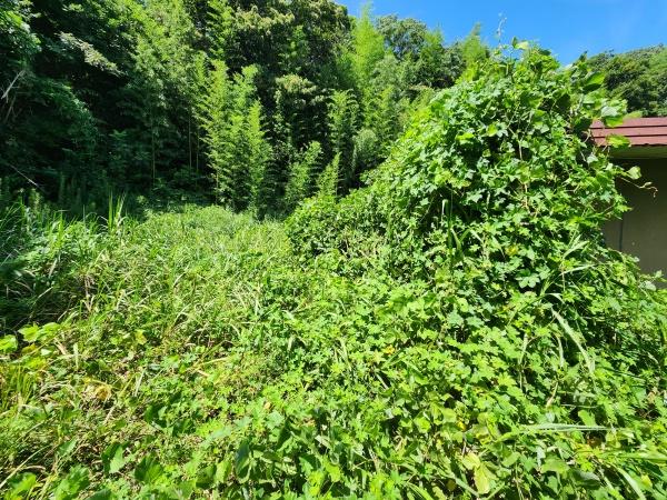 市原市青葉台５丁目の土地