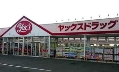 木更津市清見台東新築住宅・1号棟(ヤックスドラッグ木更津清見台店)
