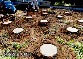 木更津市高柳18期新築住宅・6号棟
