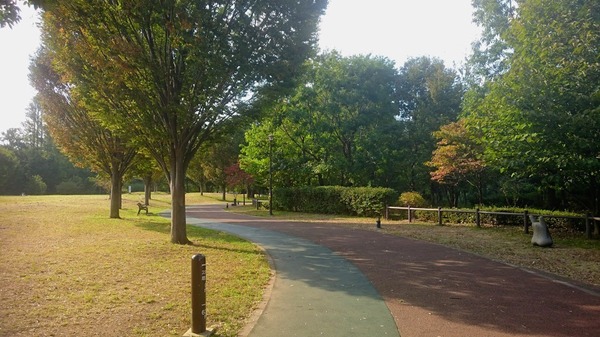 モナーク田無緑町(西東京いこいの森公園)