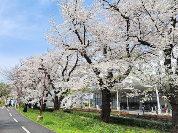 西東京市向台町６丁目の新築一戸建て[140003-3961]【センチュリー21】