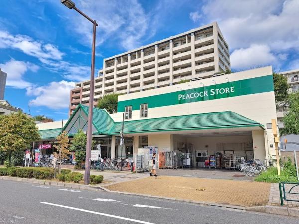 小平市花小金井南町3丁目の新築一戸建(ピーコック)