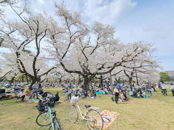 小平市花小金井南町3丁目の新築一戸建(小金井公園)