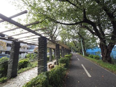 小平市花小金井5丁目の新築一戸建(多摩湖自転車歩行者道)