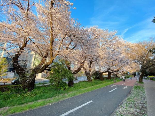 西東京市向台町４丁目の中古一戸建て